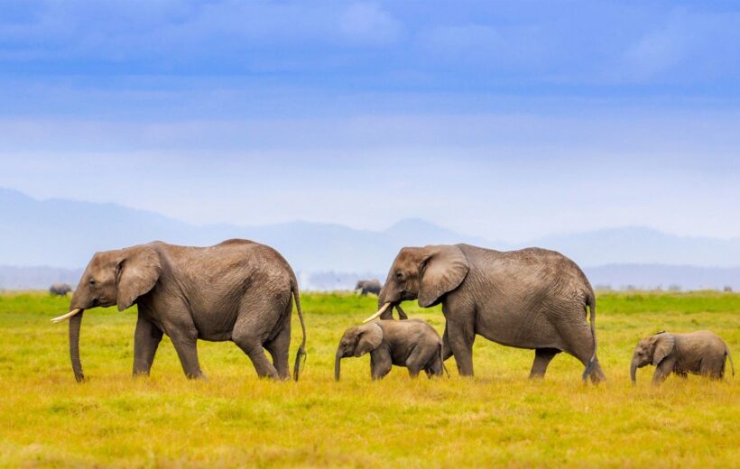 South Africa