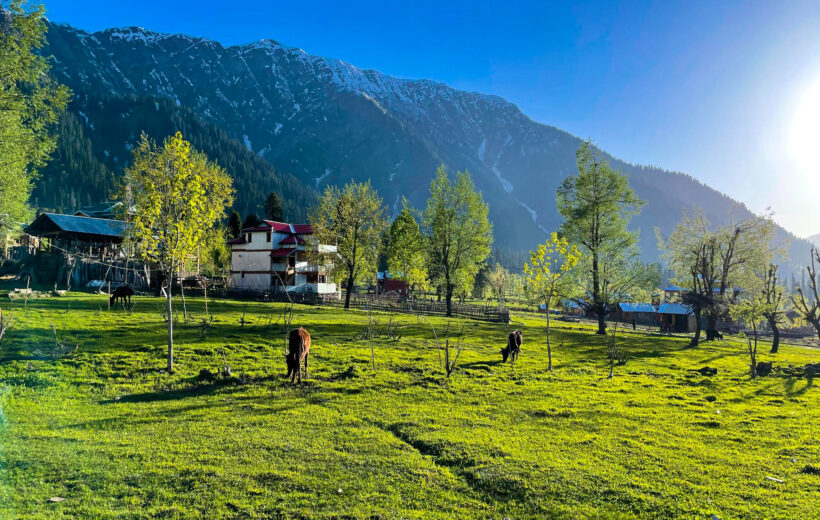 KASHMIR