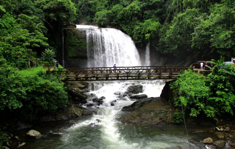 AMAZING ASSAM