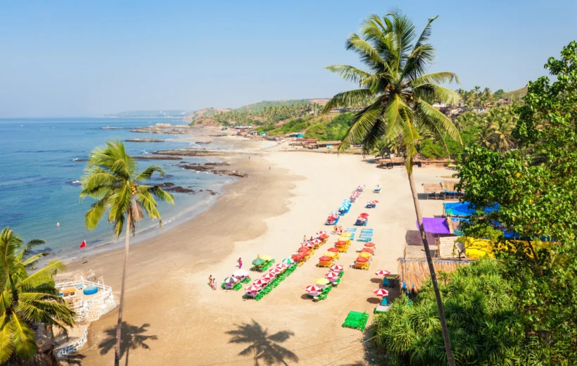 GOA