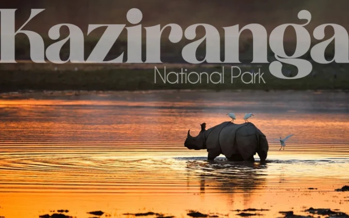 Kaziranga National Park