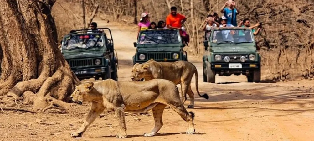 Sasan Gir National Park