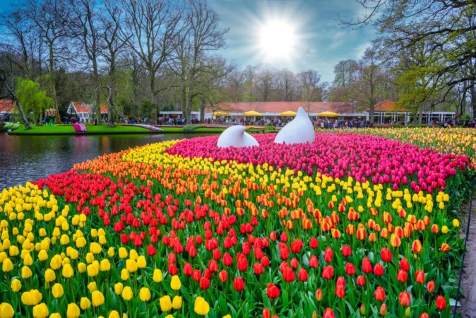 Keukenhof