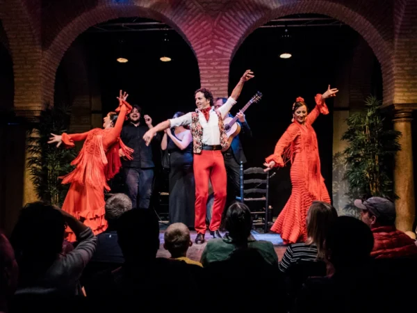 authentic Flamenco show