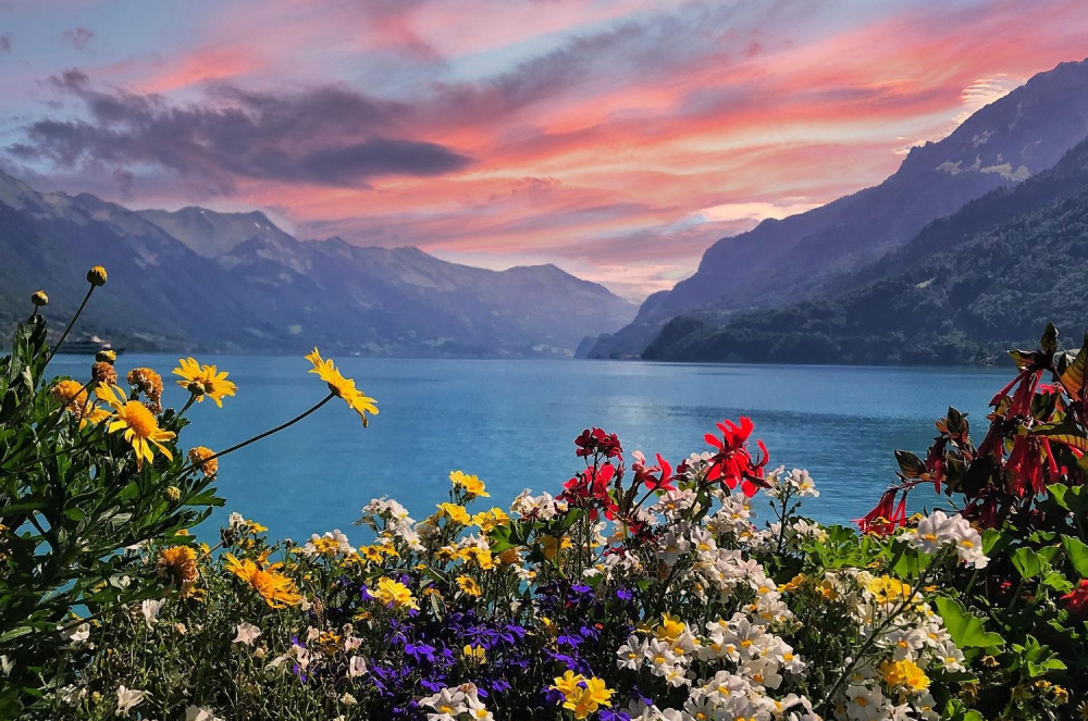Switzerland honeymoon package from India