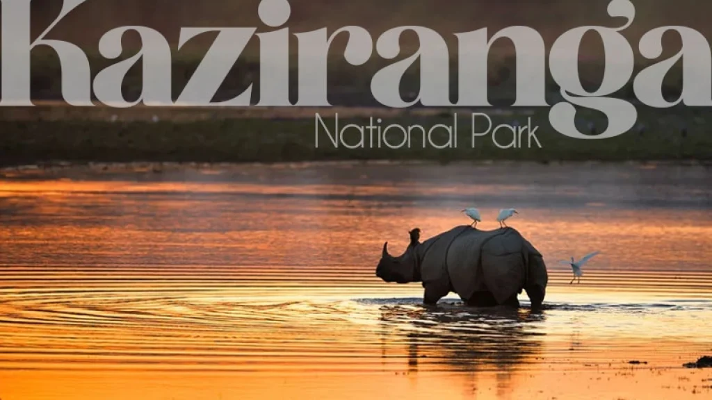 Kaziranga National Park
