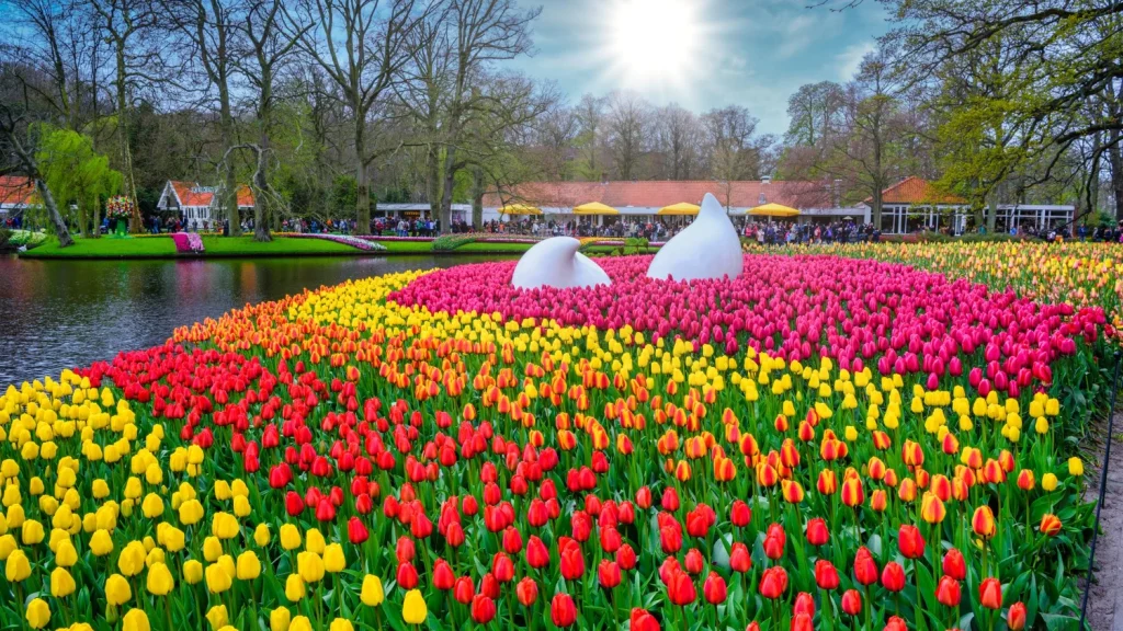Keukenhof