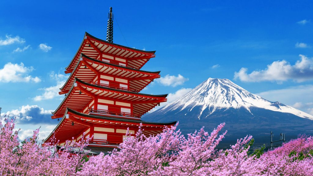 Cherry blossoms in spring, Chureito pagoda and Fuji mountain in Japan.